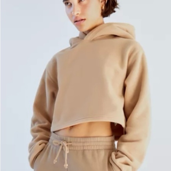 Aritzia Sweaters - Aritzia TNA Polar Hoodie